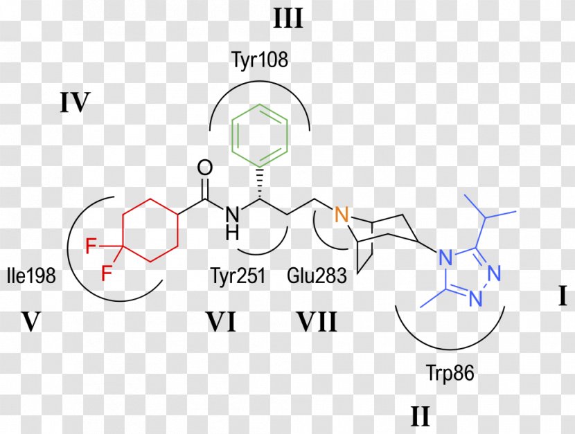 Fostemsavir CCR5 Receptor Antagonist Bristol-Myers Squibb Management Of HIV/AIDS - Heart - Tree Transparent PNG