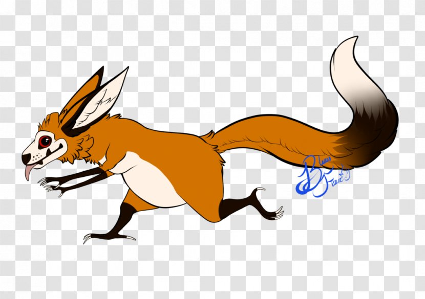 Red Fox Macropodidae Hare Rodent Dog - Wildlife Transparent PNG