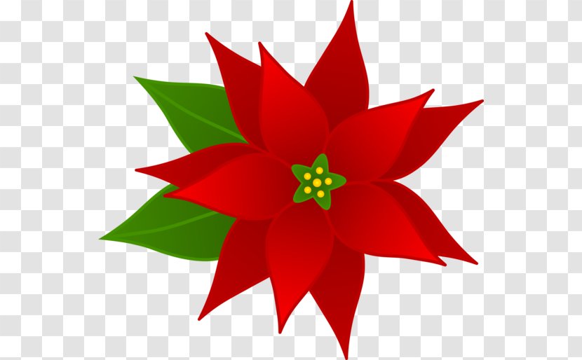Christmas Holiday Clip Art - Poinsettia Clipart Transparent PNG