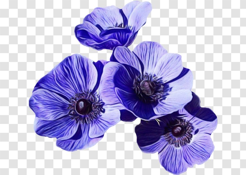 Purple Flower Wreath - Plant - Viola Morning Glory Transparent PNG