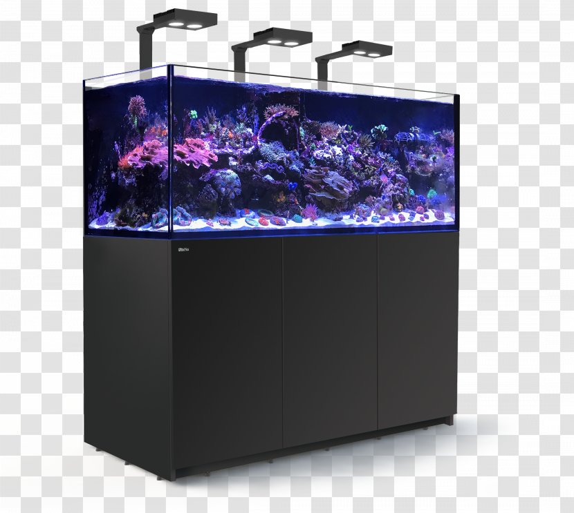 Red Sea Reefer 350 Aquariums 450 Reef Aquarium - Lighting - Coral Transparent PNG