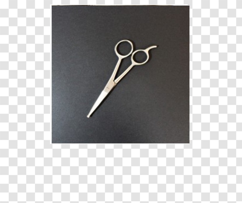 Scissors Dog Nail Clippers Hair Clipper Blade - Email - Pets Transparent PNG