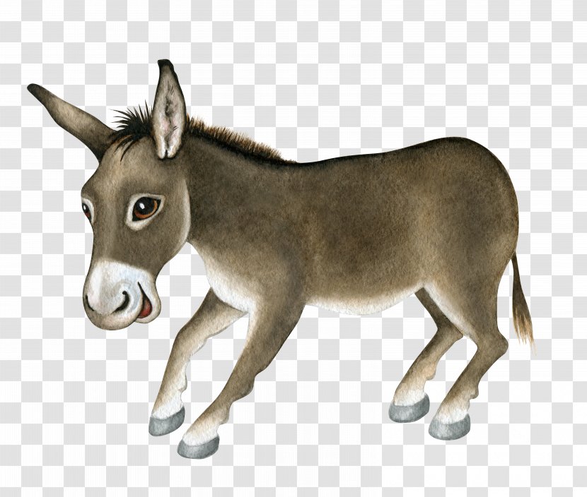 Dominick The Donkey Stock Illustration - Royaltyfree - Little Transparent PNG