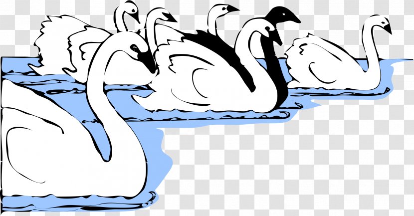 Black Swan Desktop Wallpaper Clip Art - Logo - Swimming Transparent PNG