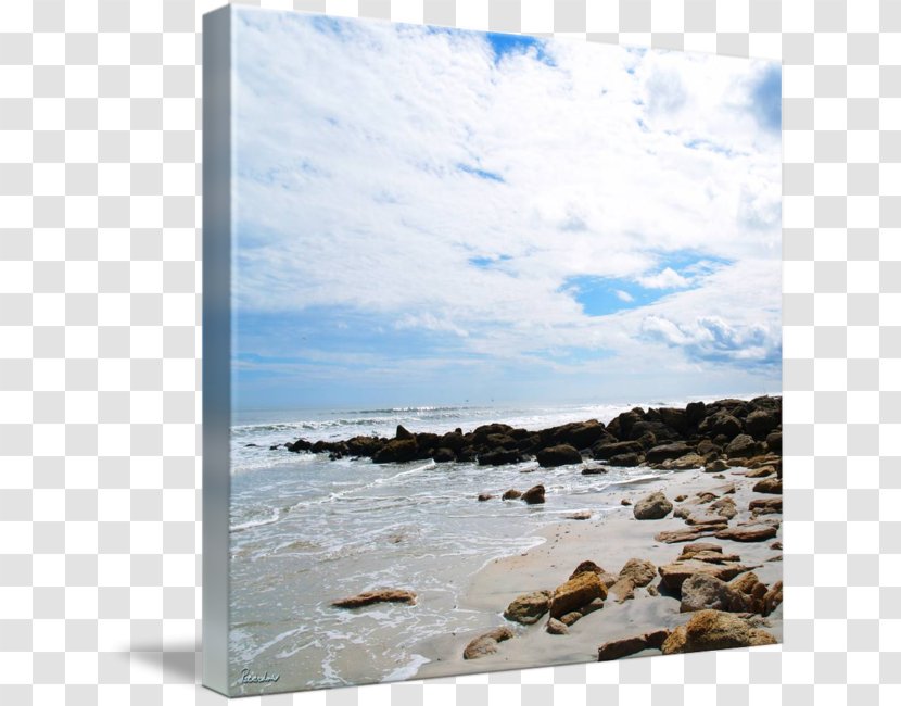 Shore Sea Wave Coast Ocean - Coastal And Oceanic Landforms - Seascape Transparent PNG