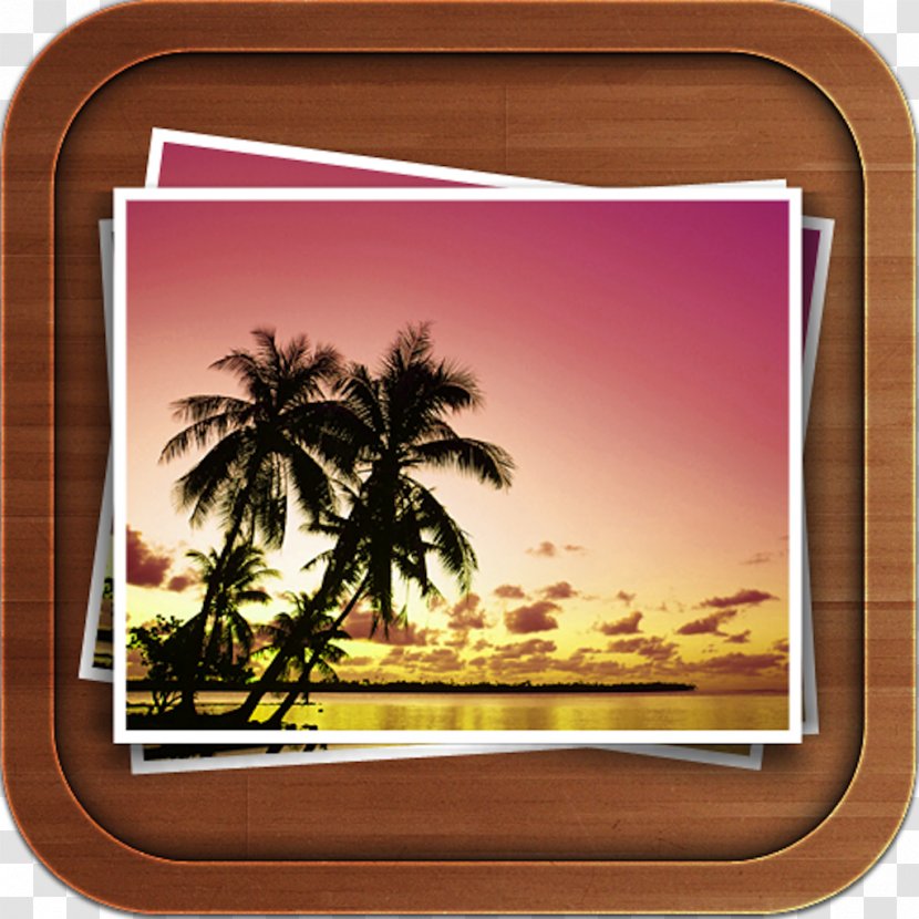Desktop Wallpaper Sunset Beach Arecaceae Sunrise - Sea Transparent PNG