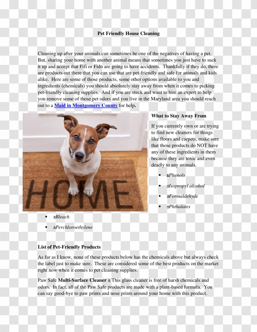 Jack Russell Terrier Text Photography Snout Magnettafel - Paw Print Transparent PNG