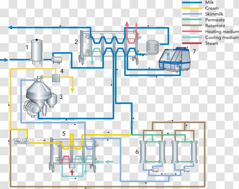 ESL Milk Cream Pasteurisation Shelf Life - Diagram - Supermarket Shelves Transparent PNG