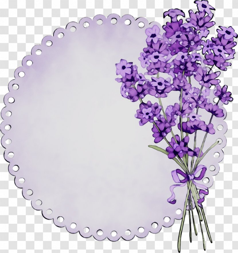 Stock Illustration Vector Graphics Image Drawing - Plant - Lavender Transparent PNG