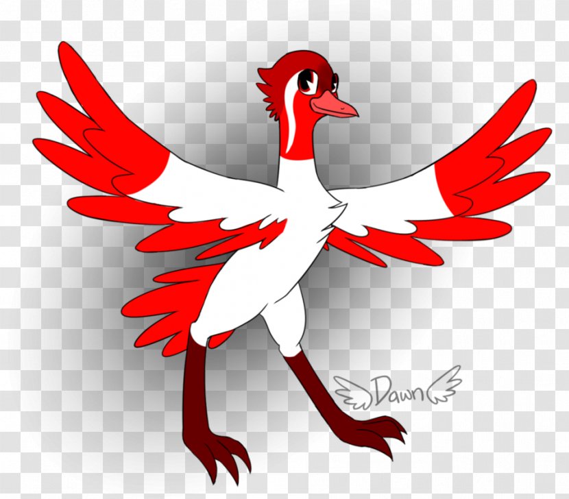Rooster Cygnini Goose Anatidae Duck - Bird Transparent PNG