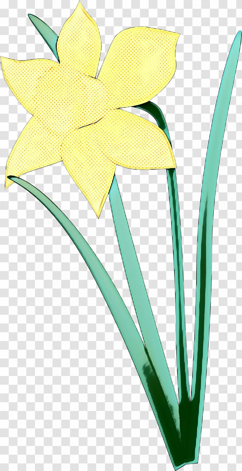 Flowers Background - Flower - Amaryllis Family Pedicel Transparent PNG