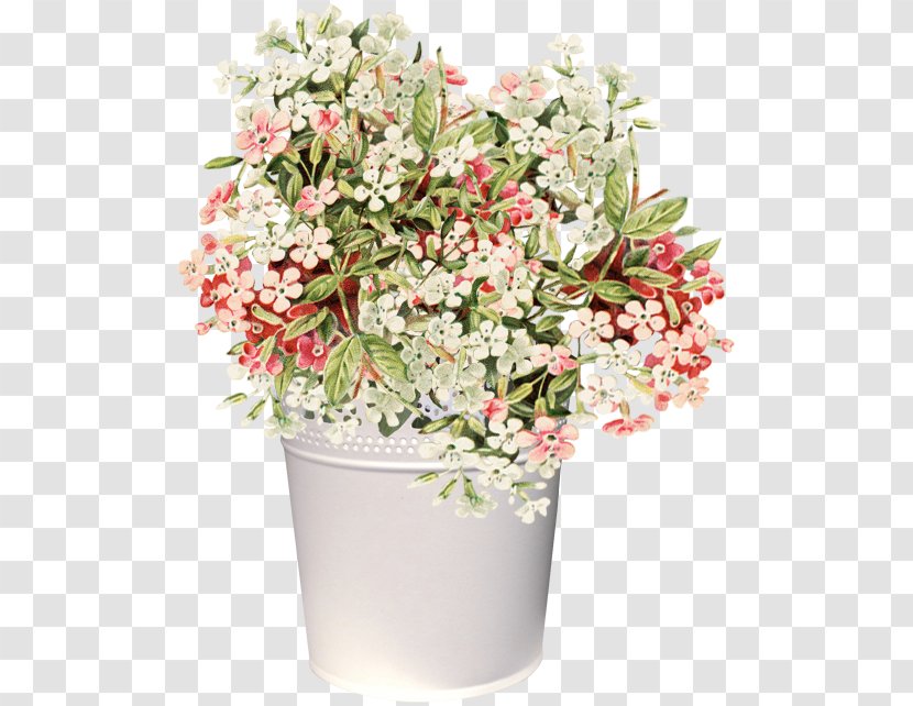 Floral Design Cut Flowers Clip Art - Shrub - Flower Transparent PNG