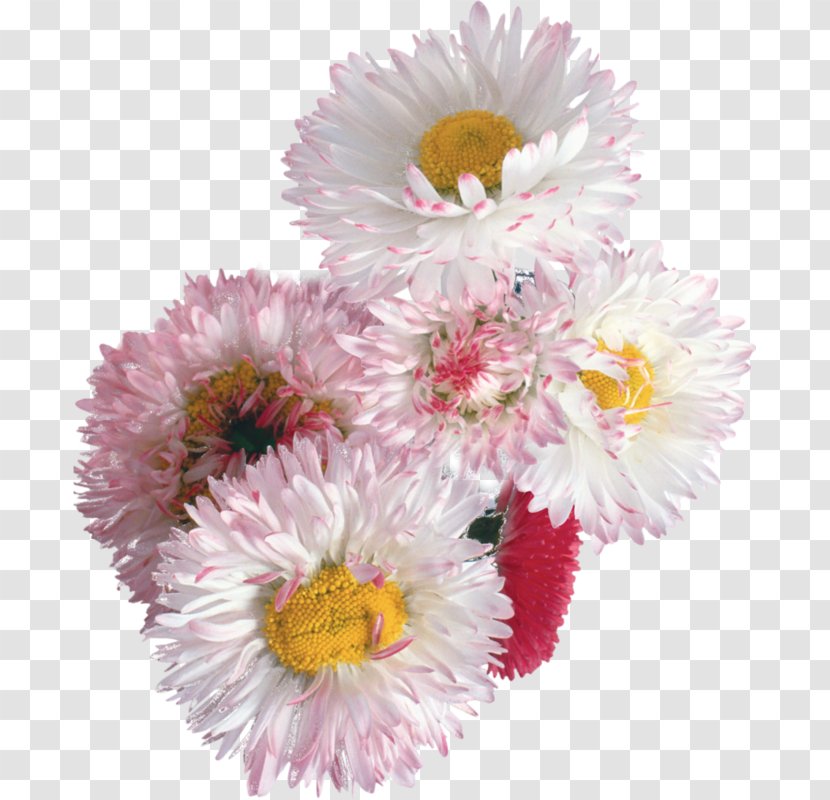 Flower Floral Design Desktop Wallpaper - Plant Transparent PNG