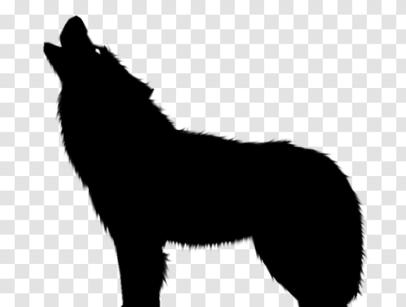 Gray Wolf Silhouette Drawing Clip Art - Carnivoran Transparent PNG