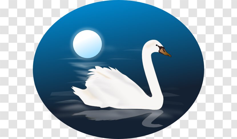 Bird Black Swan Cygnus Clip Art - Lake - Cliparts Transparent PNG