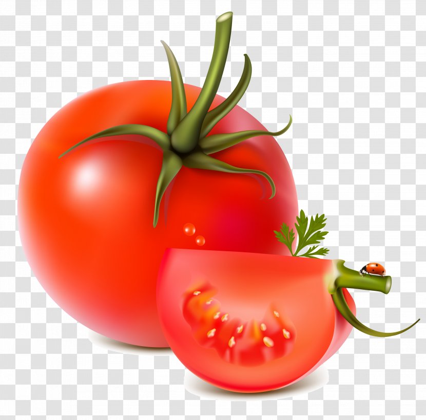 Vegetable Tomato Fruit - Leaf Transparent PNG
