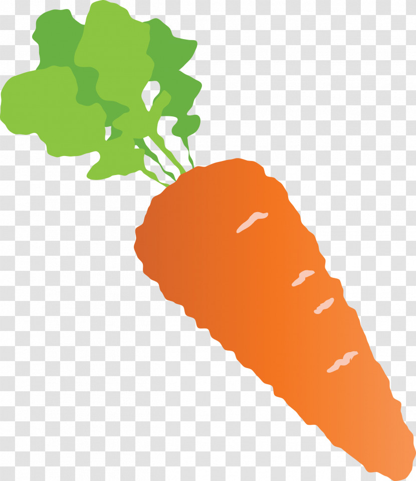 Carrot Transparent PNG