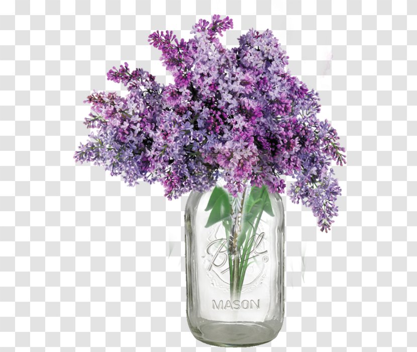Common Lilac Lavender Vase Clip Art - Violet Transparent PNG