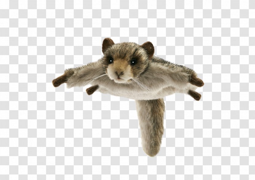Stuffed Animals & Cuddly Toys Bear Siberian Flying Squirrel Tree Squirrels Transparent PNG