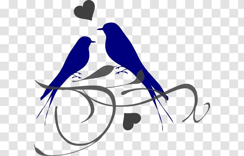 Lovebird Clip Art Parrot Free Content - Artwork - Bird Transparent PNG
