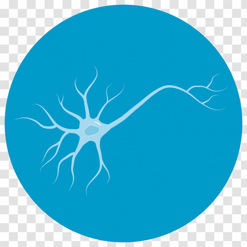Neuron Disease Health Care Clinic - Invertebrate Transparent PNG