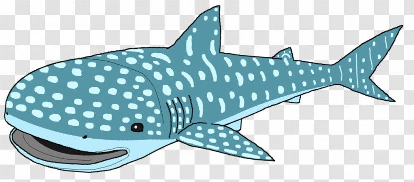 Requiem Sharks Whale Shark Cetaceans Clip Art - Big Transparent PNG