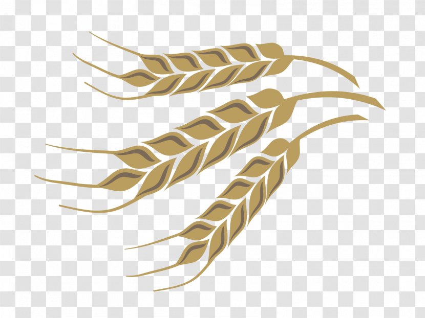 Download - Wheat - Color Design Vector Material Transparent PNG