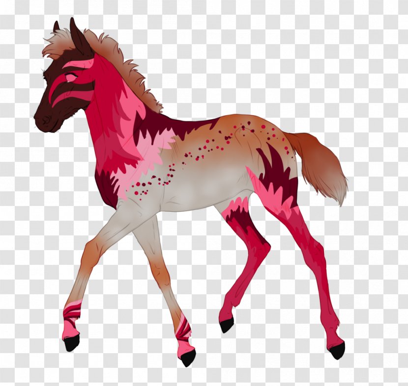 Mustang Foal Stallion Mare Colt - Horse Like Mammal Transparent PNG