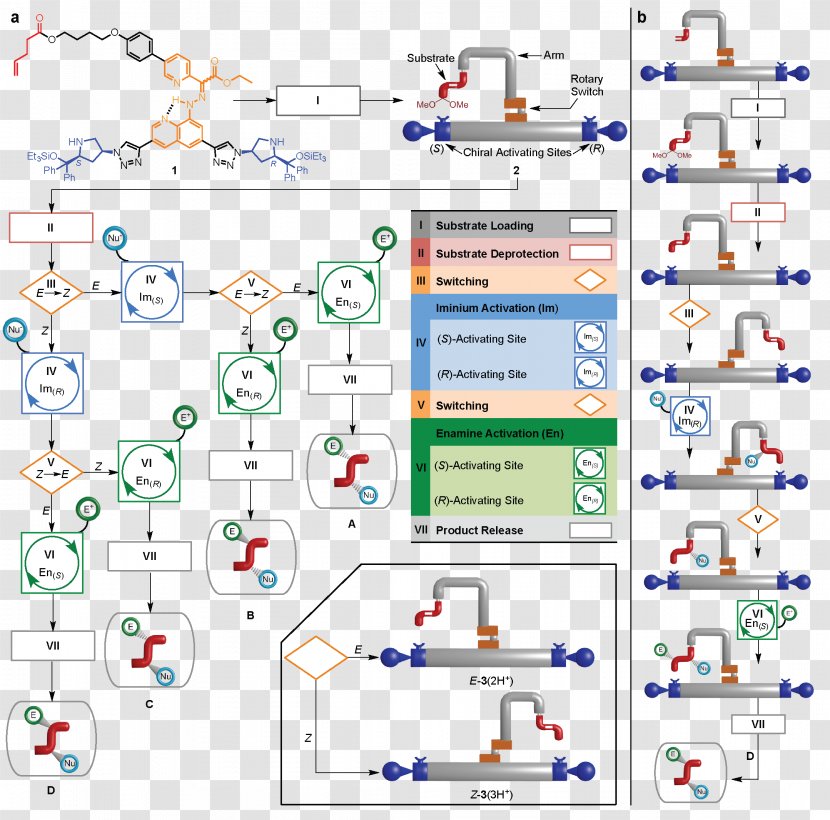 Molecular Machine Chemical Synthesis Enantioselective Molecule Chemistry - Watercolor - Robot Transparent PNG