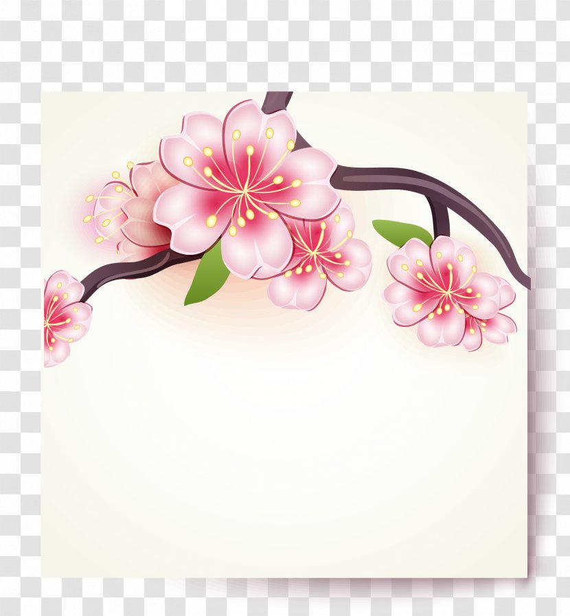 Paper Cherry Blossom - Flowering Plant - Sakura Flowers Card Vector Material Transparent PNG