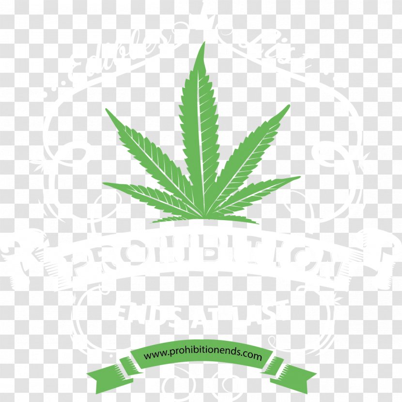 Cannabis Cannabidiol Hemp Illustration Vector Graphics - Medical Transparent PNG