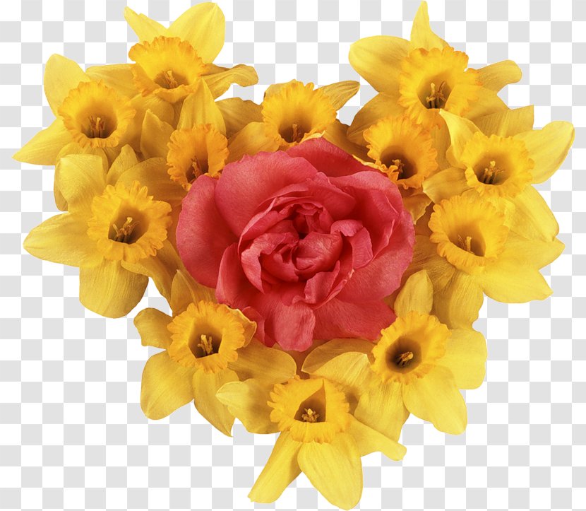 Flower Bouquet Daffodil Garden Roses Clip Art - Floristry - Information Board Transparent PNG