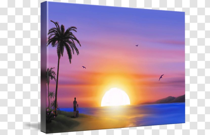 Desktop Wallpaper Sea Computer Progress M-06M Vacation - Palm Tree - Beach Sunset Transparent PNG