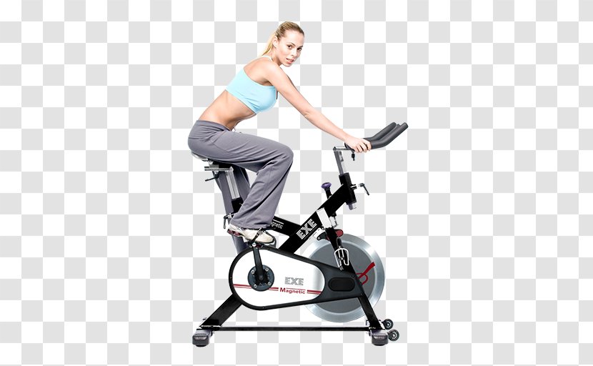 Exercise Bikes Indoor Cycling Fitness Centre Physical - Position - Spinning Transparent PNG