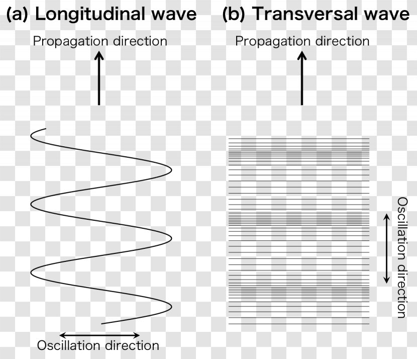 Longitudinal Wave Transverse Propagation Angle - Document Transparent PNG