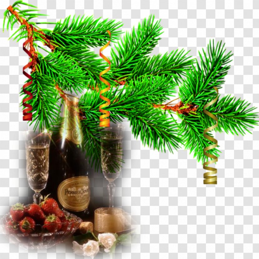Fir Christmas Tree Pine - Evergreen - Decorate Transparent PNG