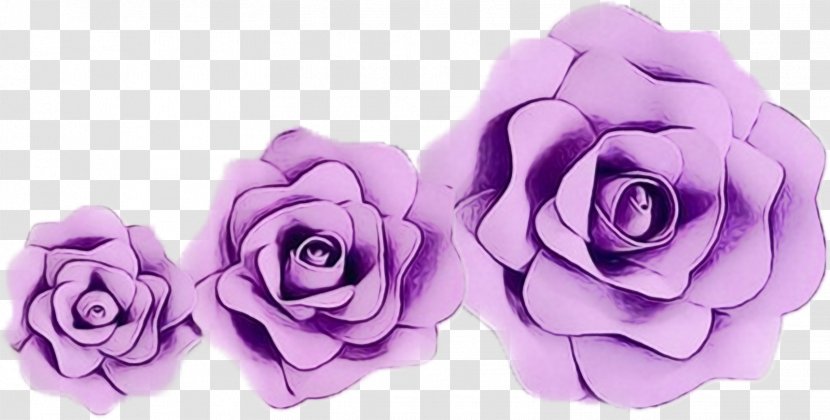 Garden Roses Cabbage Rose Cut Flowers Petal - Family - Purple Transparent PNG