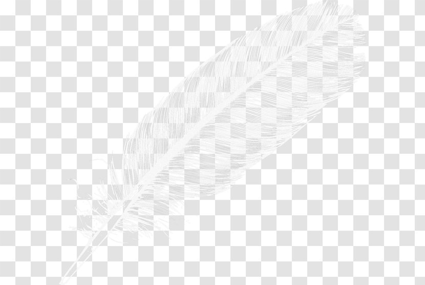 White Black Angle Pattern - Symmetry - Almost Transparent Colored Feathers Transparent PNG