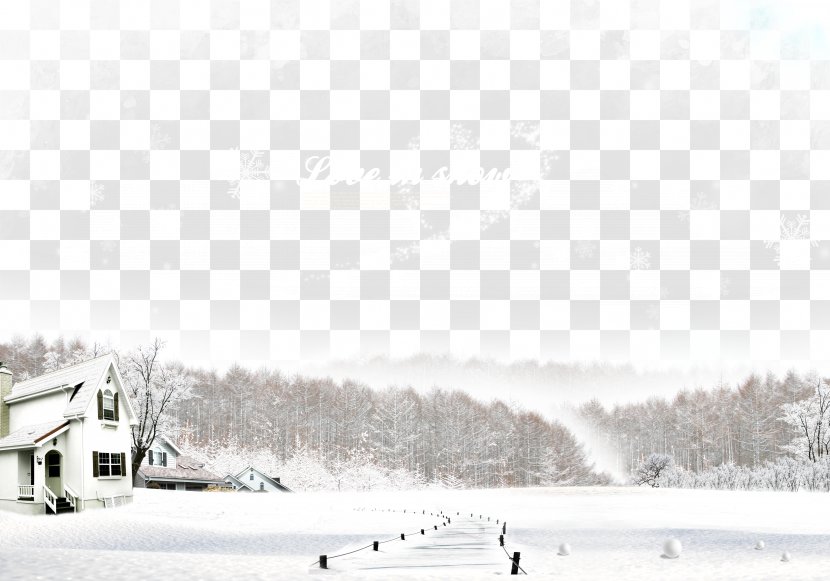 Winter Fundal Snow - Elevation - Beautiful White Material Transparent PNG