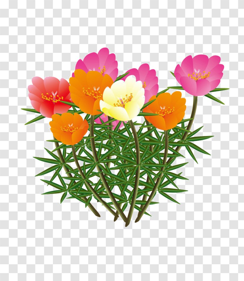 Cut Flowers Image Petal Rose - Flower Transparent PNG