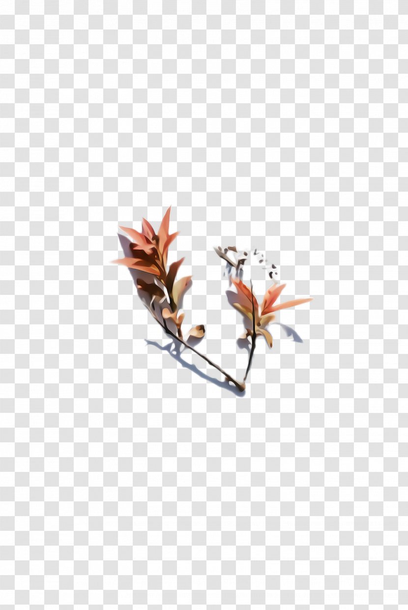 Flower Plant Leaf Branch Twig - Magnolia Family Transparent PNG