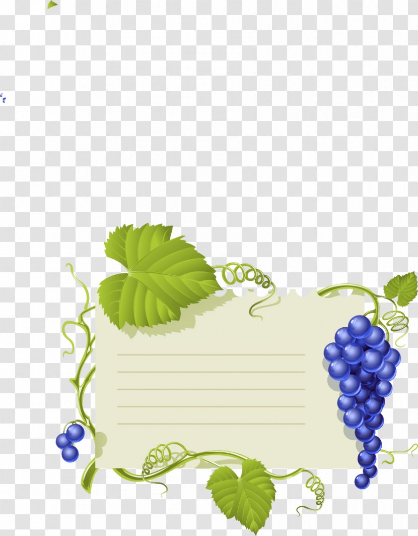 Common Grape Vine Wine Leaves - Frame - Fruit Notes Transparent PNG