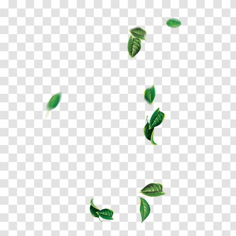 Leaf Green Tree - Point - Falling Leaves Transparent PNG