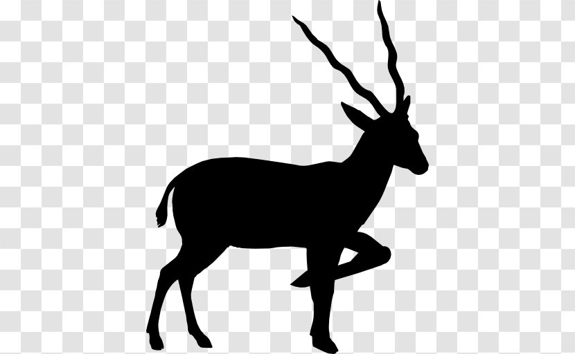 Antelope Pronghorn Silhouette Clip Art - Black And White Transparent PNG