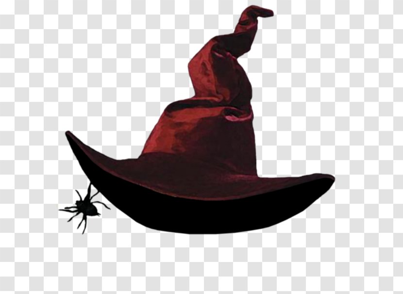 Witch Hat The Wicked Of West Costume Witchcraft Transparent PNG