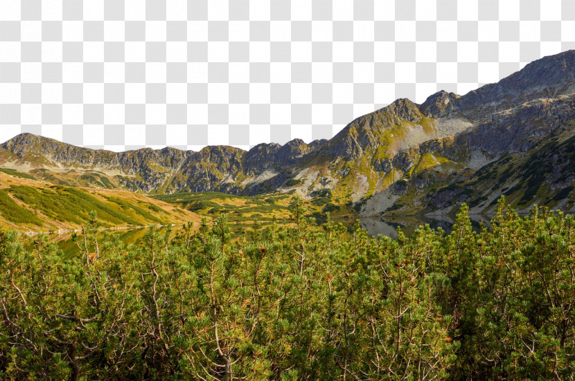 Biome Vegetation Mount Scenery Shrubland Wilderness Transparent PNG