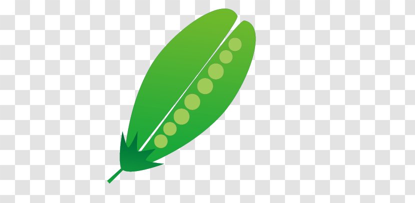Euclidean Vector Vegetable Pea Food - Plant Transparent PNG