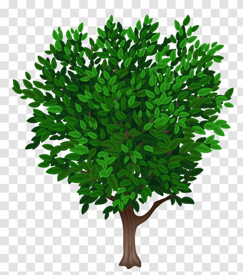 Tree Clip Art - Apng - Transparent Clipart Picture Transparent PNG