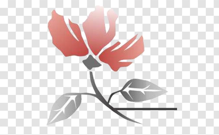 Rose Family Petal Leaf Clip Art - Flowering Plant - Fitness Logo Transparent PNG