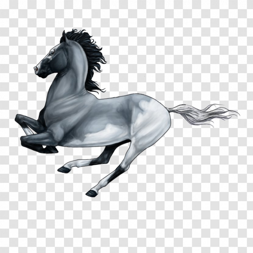 Mane Mustang Stallion Pony Halter - Horse - Bullet Train Transparent PNG